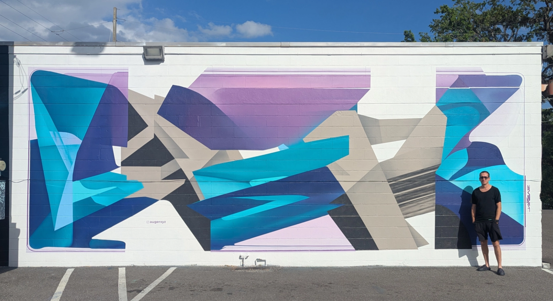 Waves of Patience | Sam Flax Of Orlando Wall Project.